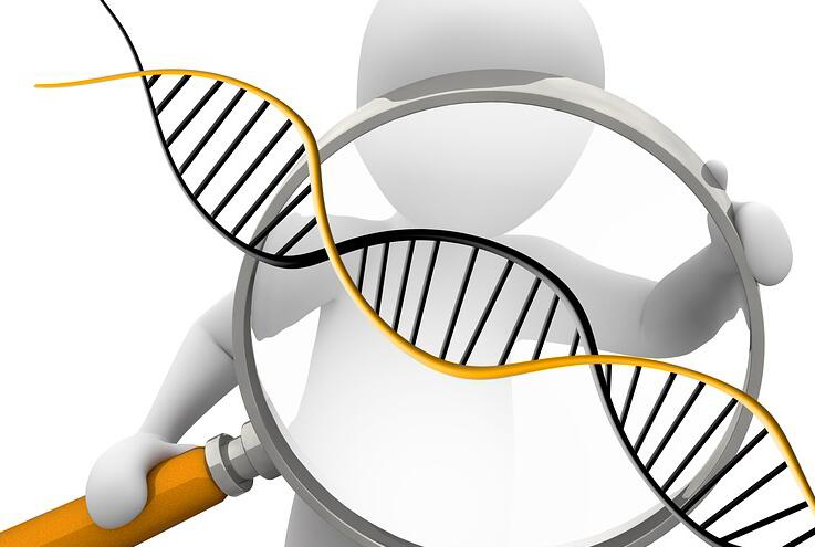 在大理怀孕几个月如何做孕期亲子鉴定,大理办理产前亲子鉴定准确性高吗