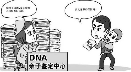 在大理怀孕几个月如何做孕期亲子鉴定,大理办理产前亲子鉴定准确性高吗